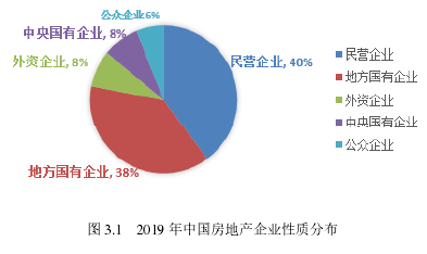 圖 3.1 2019 年中國房地產企業性質分布