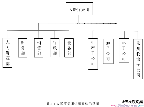 圖 3-1 A 醫療集團組織架構示意圖