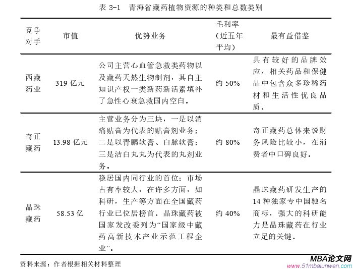 戰略管理論文怎么寫